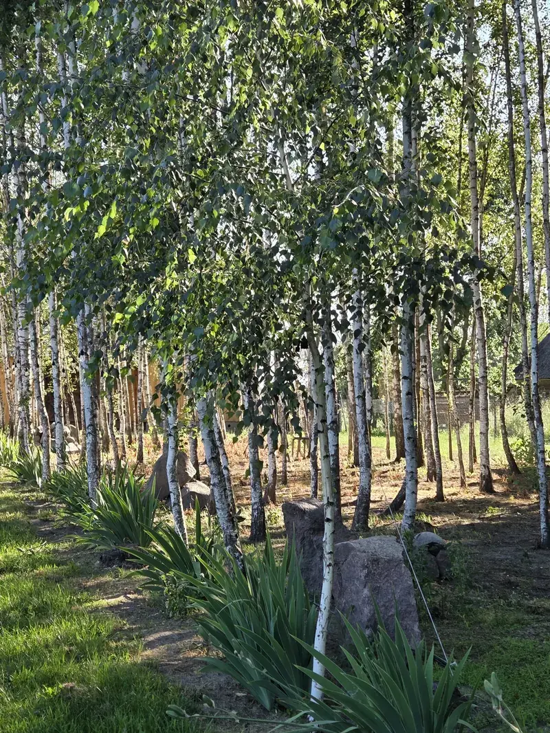 Zacisze na Podlasiu — siedlisko